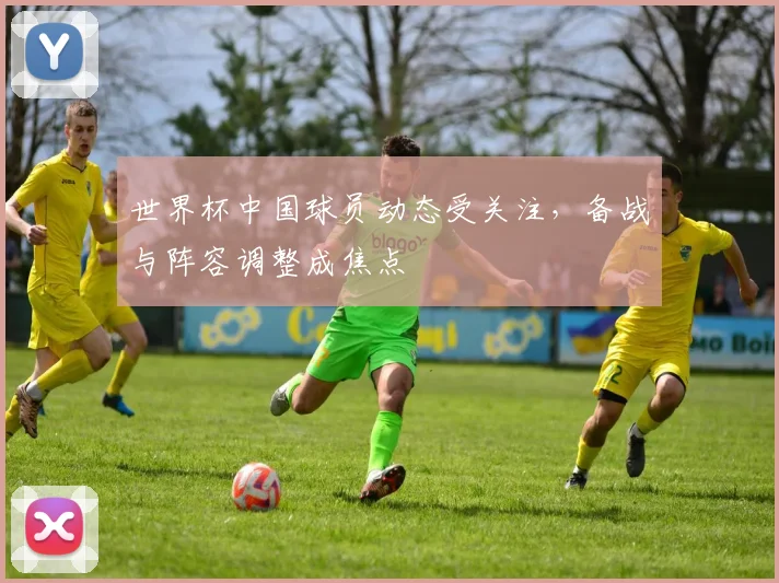 世界杯中国球员动态受关注，备战与阵容调整成焦点