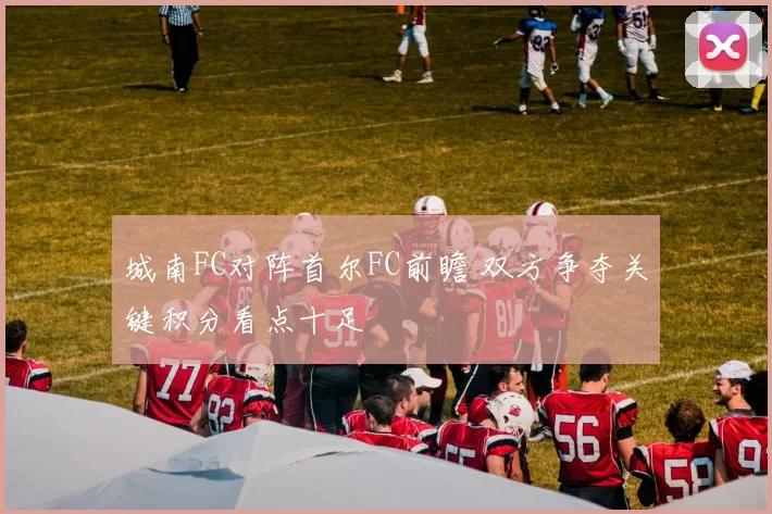 城南FC对阵首尔FC前瞻 双方争夺关键积分看点十足