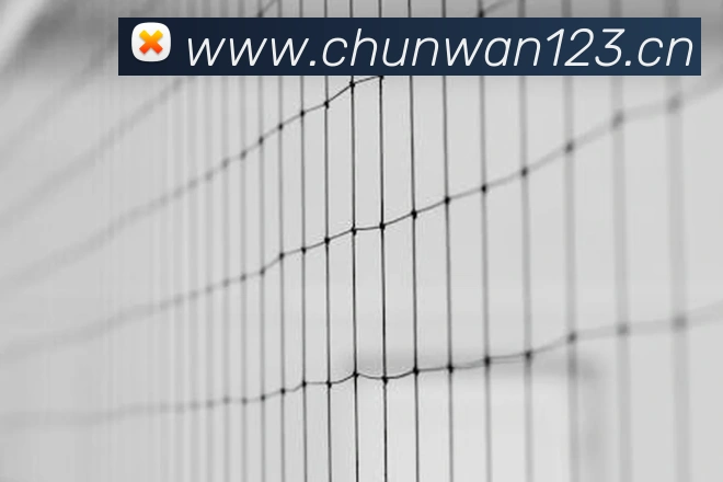 App 展示图
