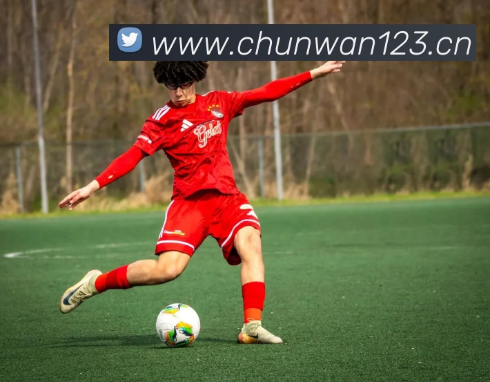 九游会(J9) - 九游官方网站登录入口APP 封面图